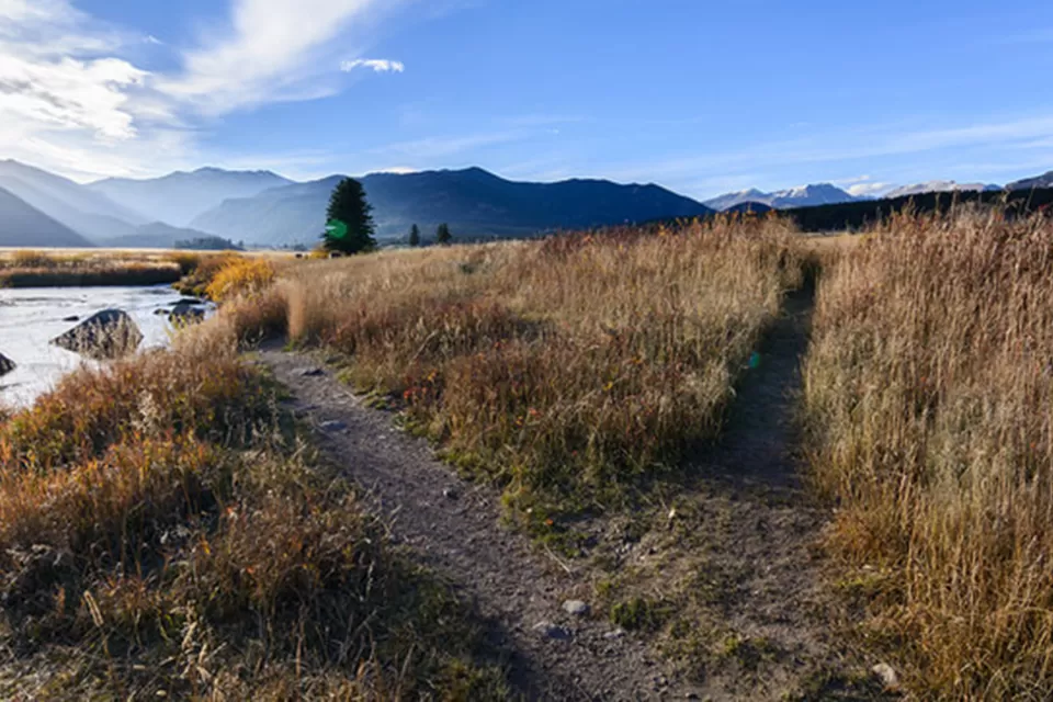 Paths Diverging